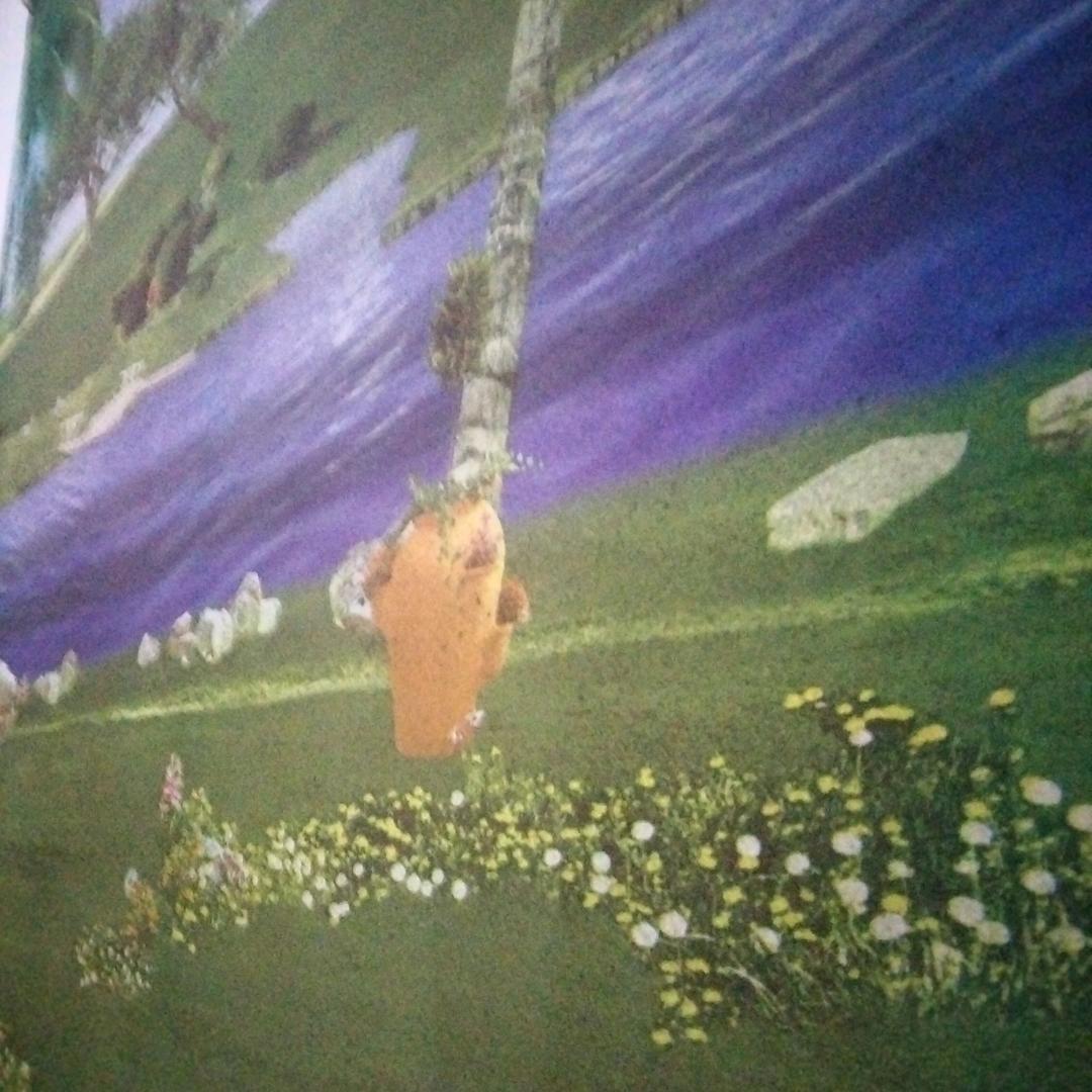 侠骨柔情