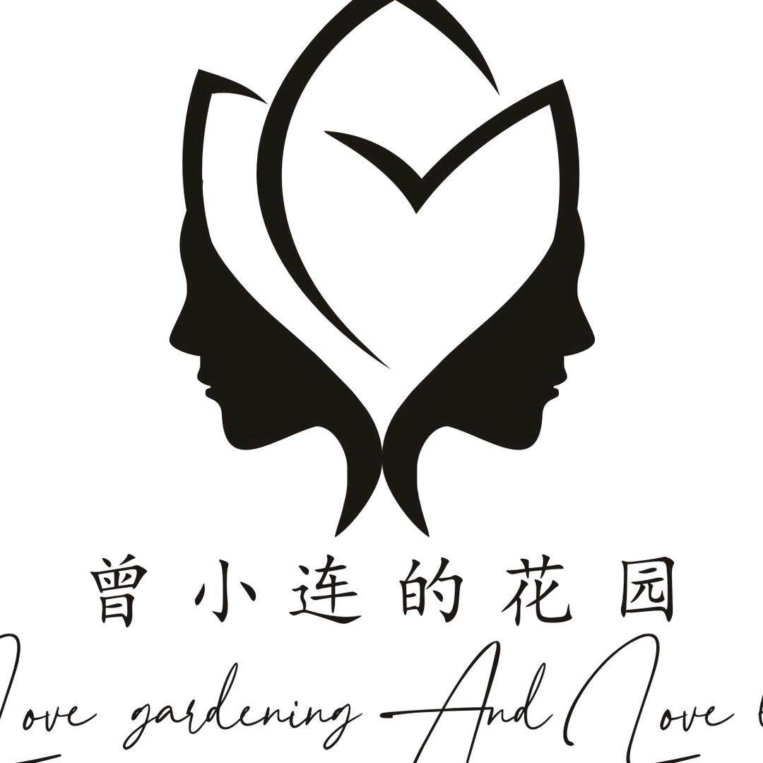 曾小连的花园