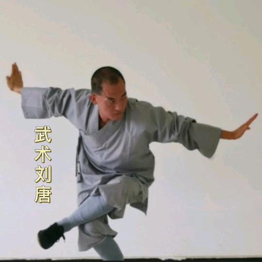 武术刘唐