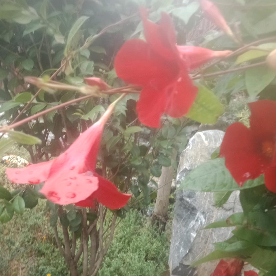 自己珍惜。