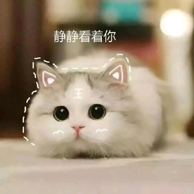 每天微笑