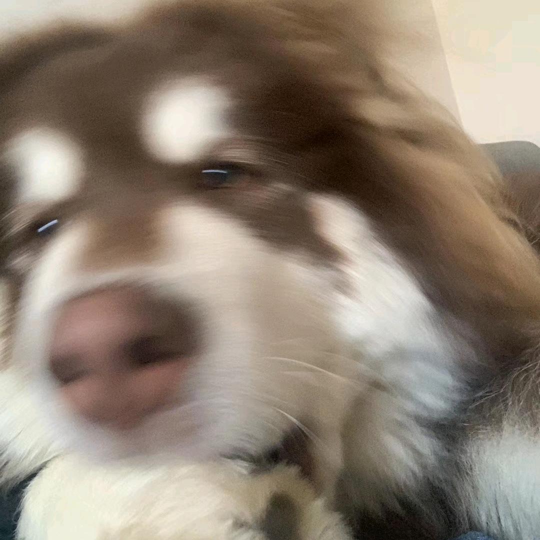 哭兮包