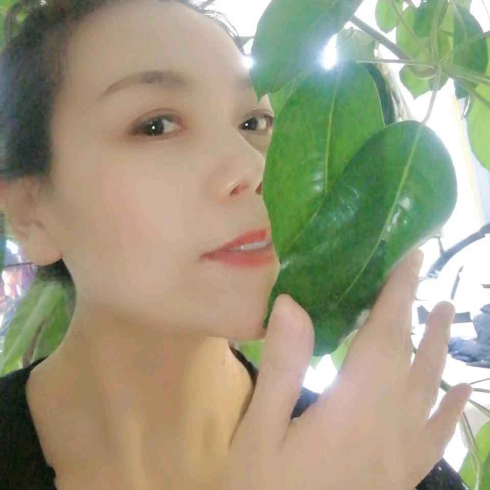 （上花轿喜铺欢迎您）