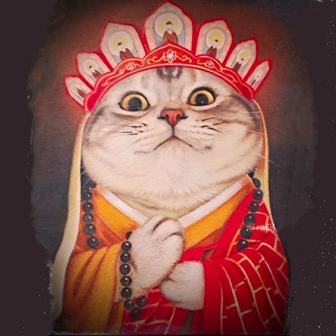 嘟嘟嘟嘟