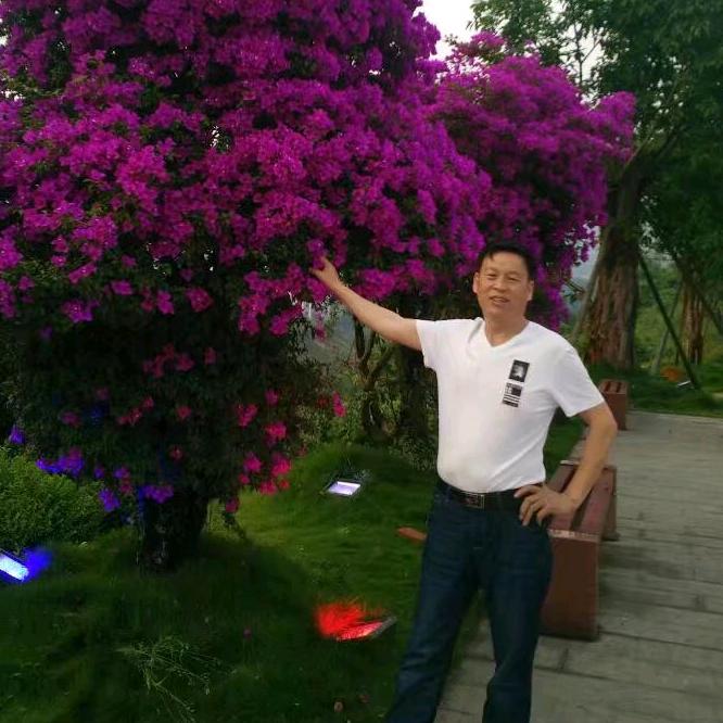 需要蜂蜜的呼我