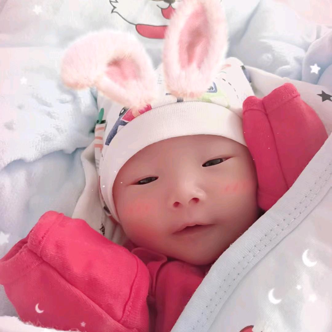王少鹏