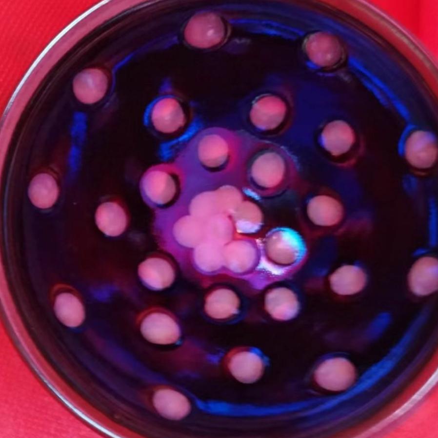 旭日东升~厚德载物