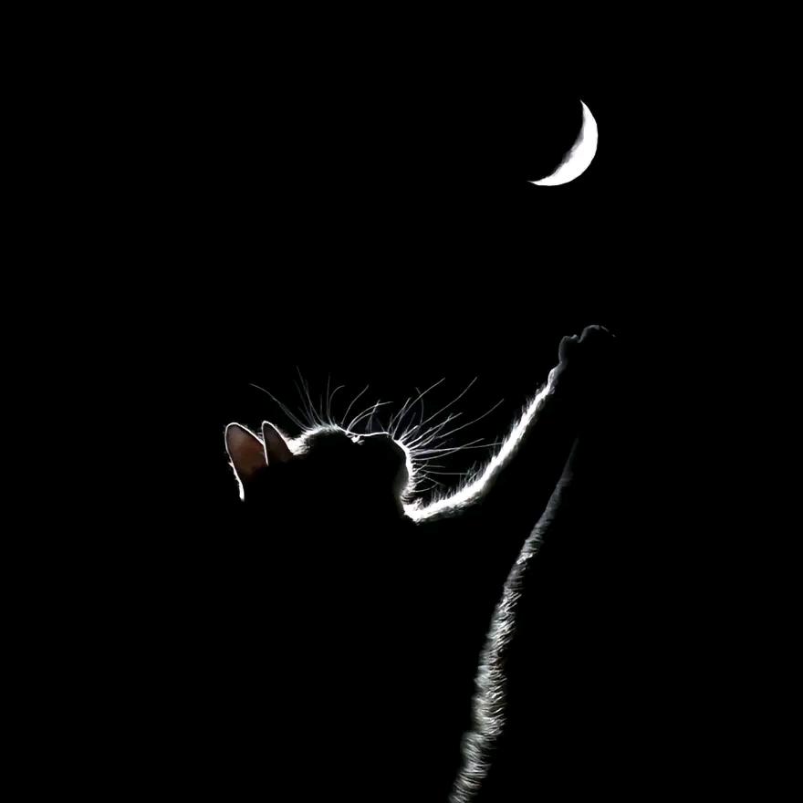 左手牵李ᝰ右手敬礼༨