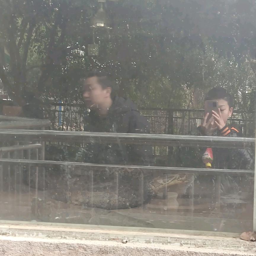 俊美军俏