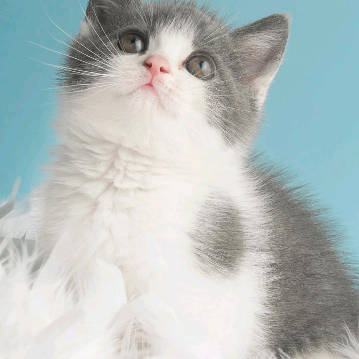 用户4583231396198建华