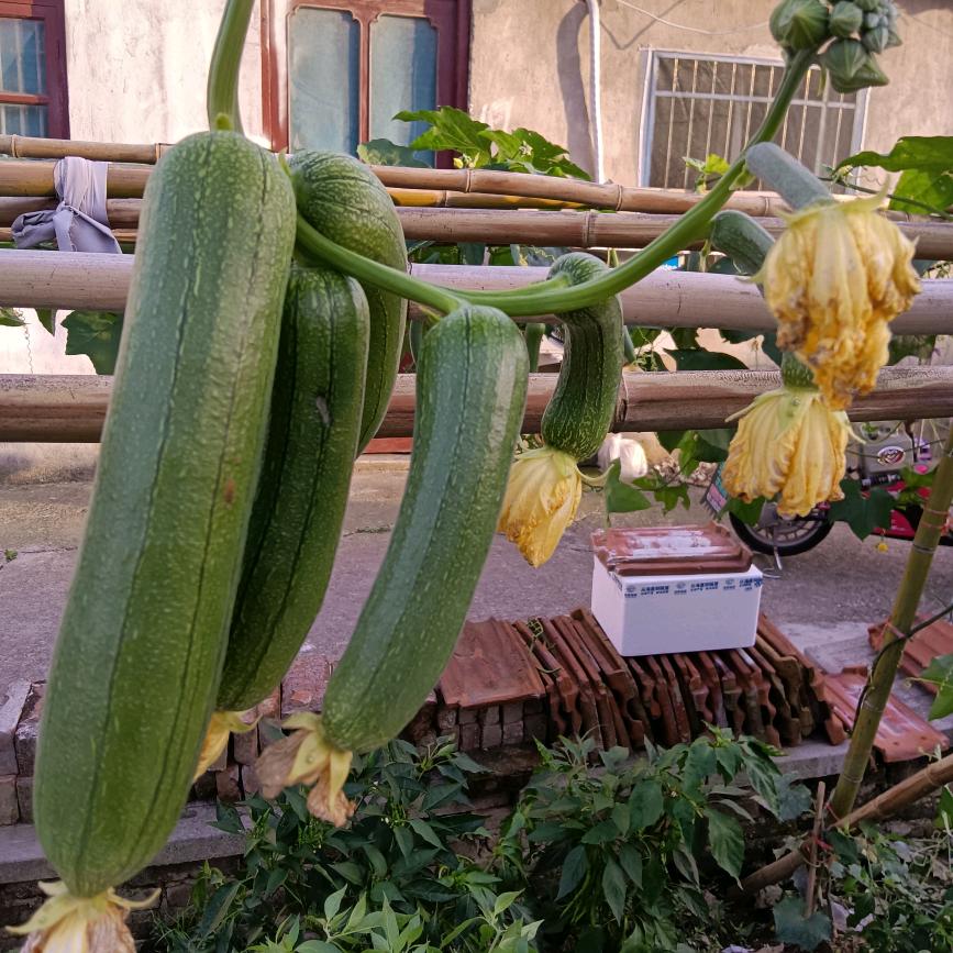 恭喜@发财万事@如意