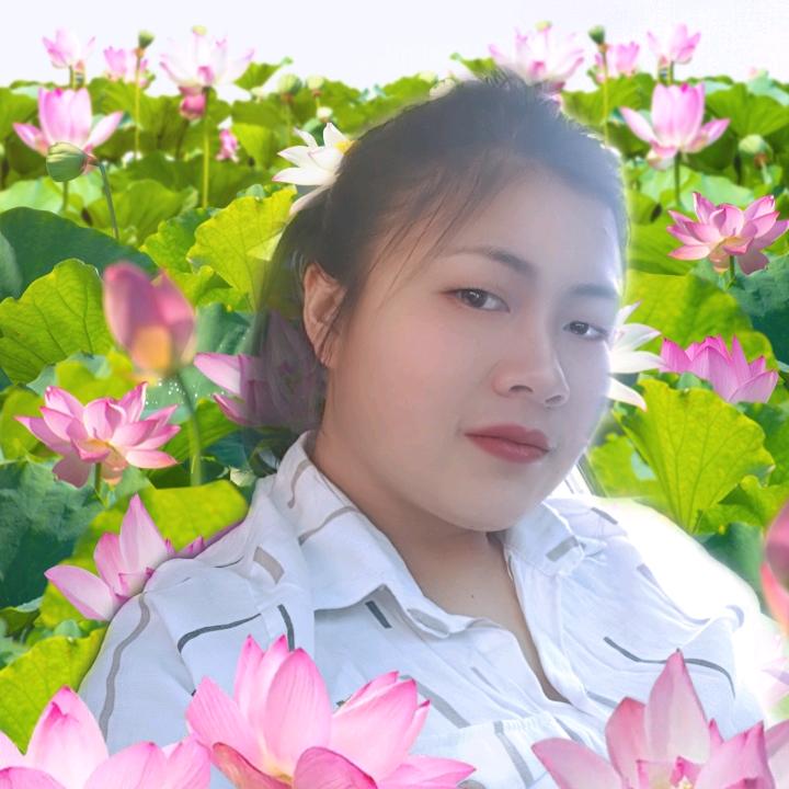 xie🌹🌹🌹jing🌹🌹🌹
