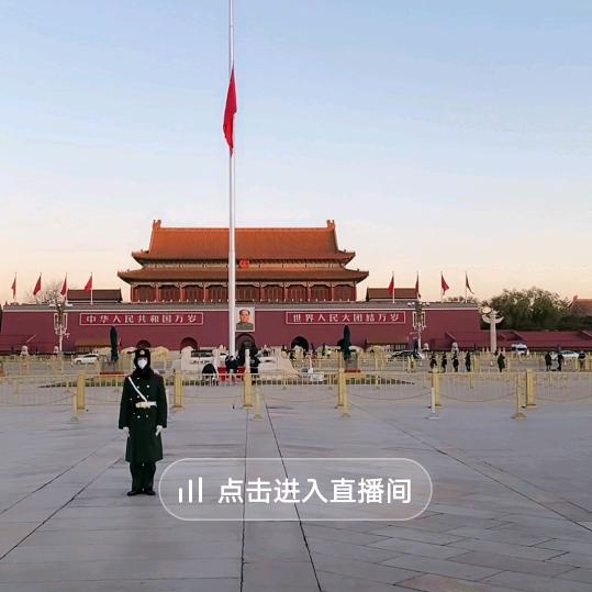 雨中百合，铁粉