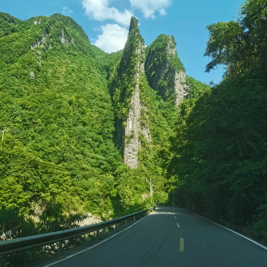 劁猪匠喜提八块腹肌