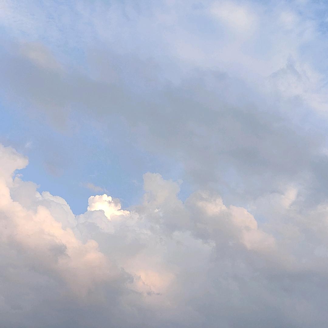 徐茝蕙一朵允朵