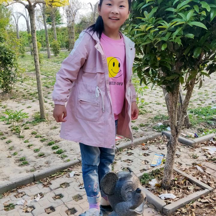 淑淇