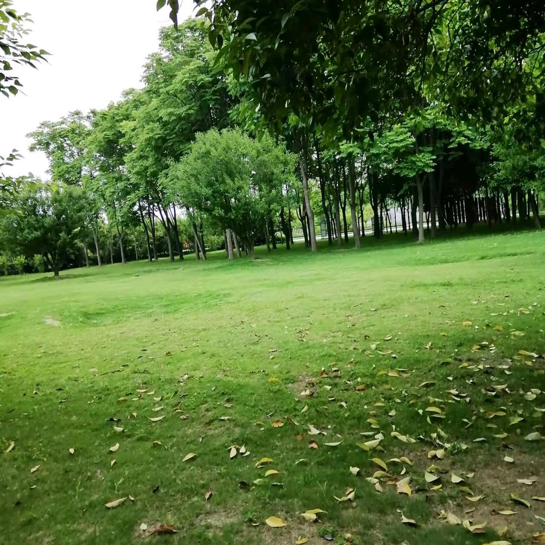 你是我的优乐美