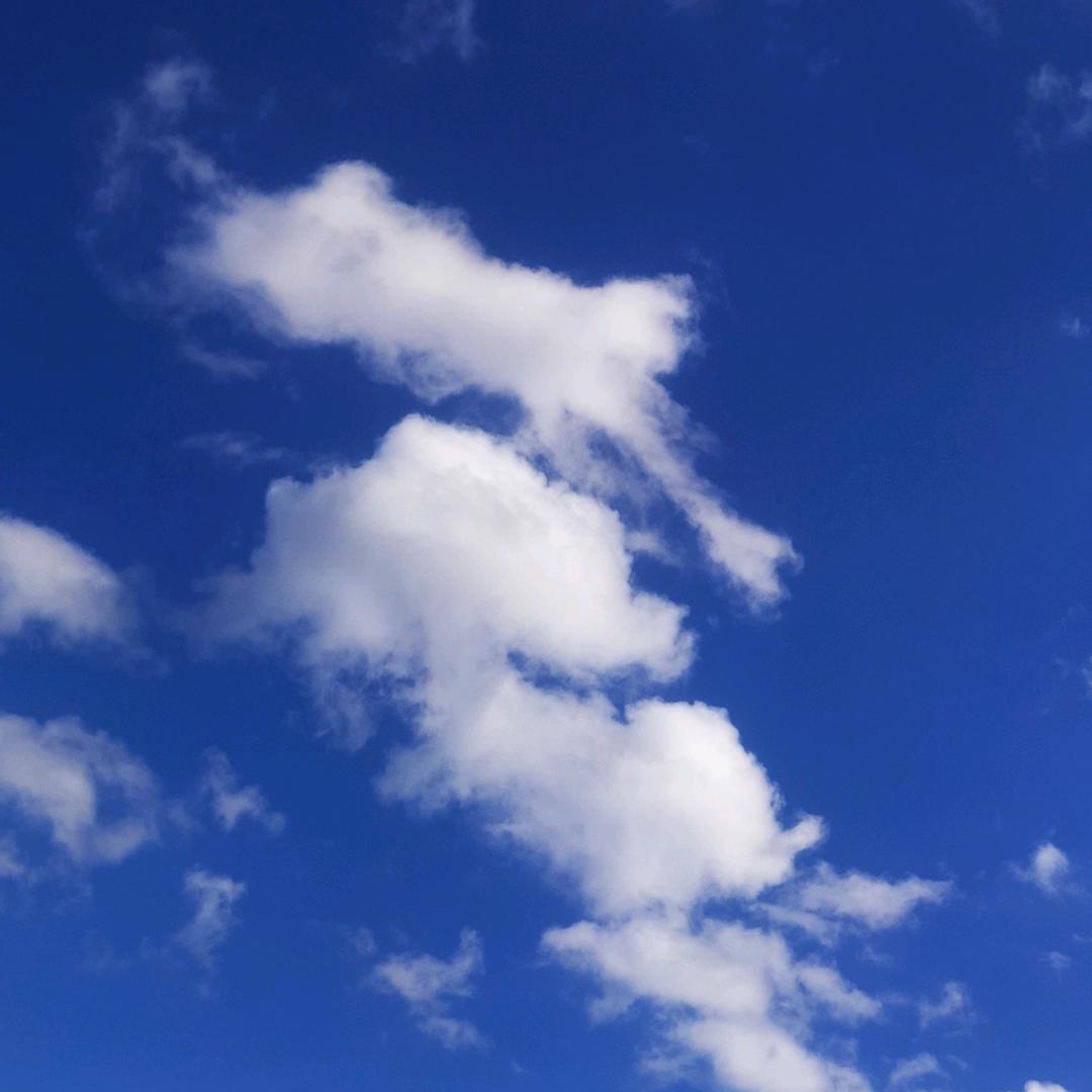 行歌