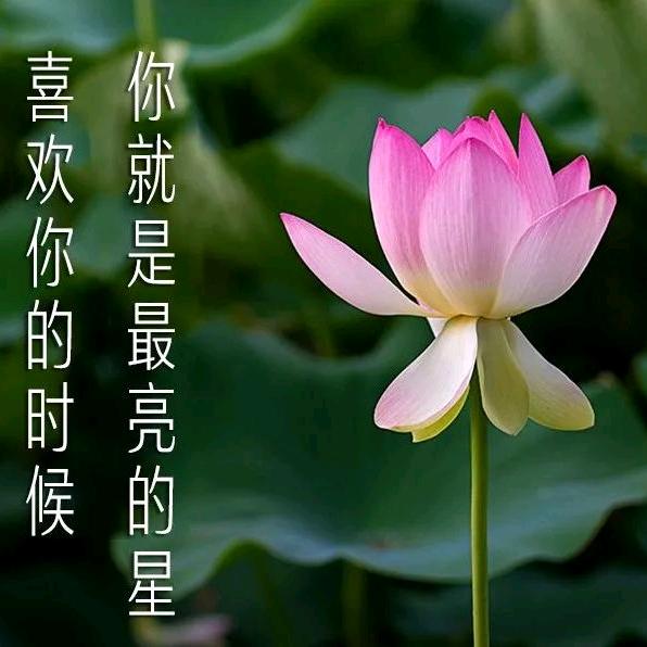 一切安好