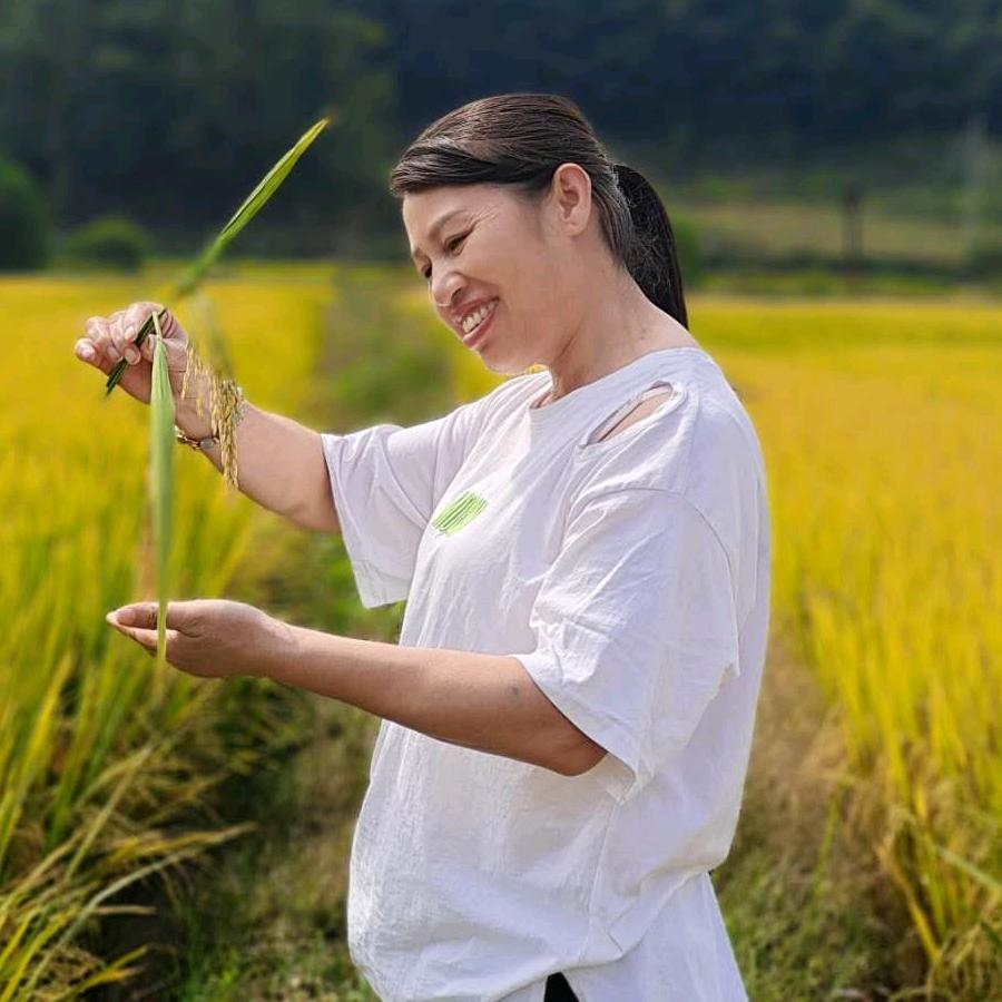 邓家四小姐