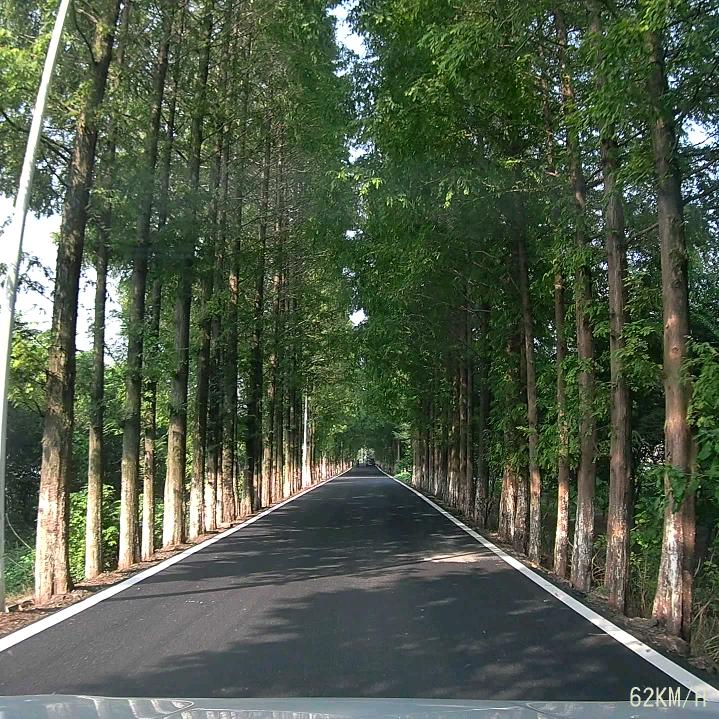 吃不饱星球球长