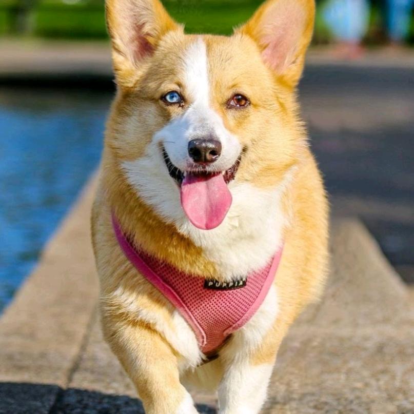 三国说电影@抖音