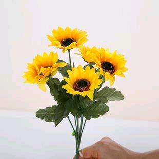 @钱景❀无限❀ ͜҉: