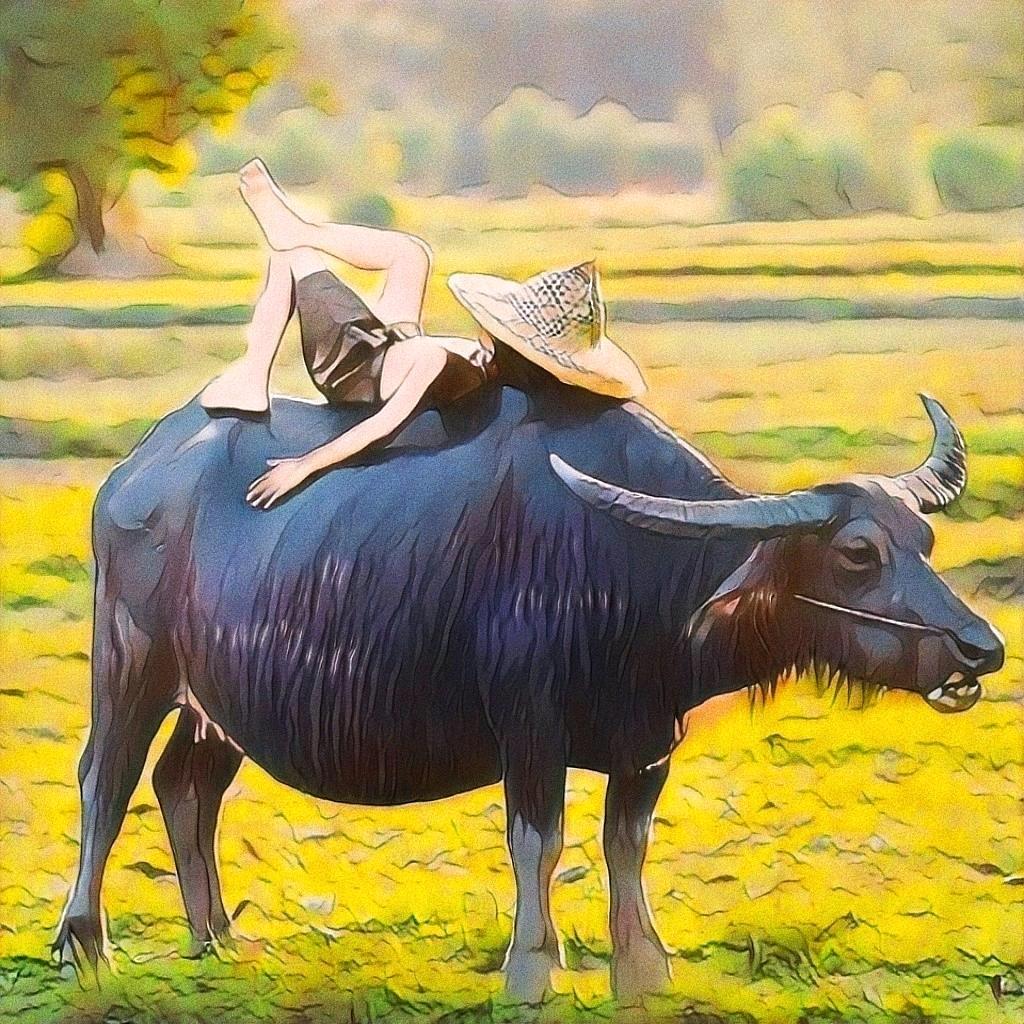 诸葛庐