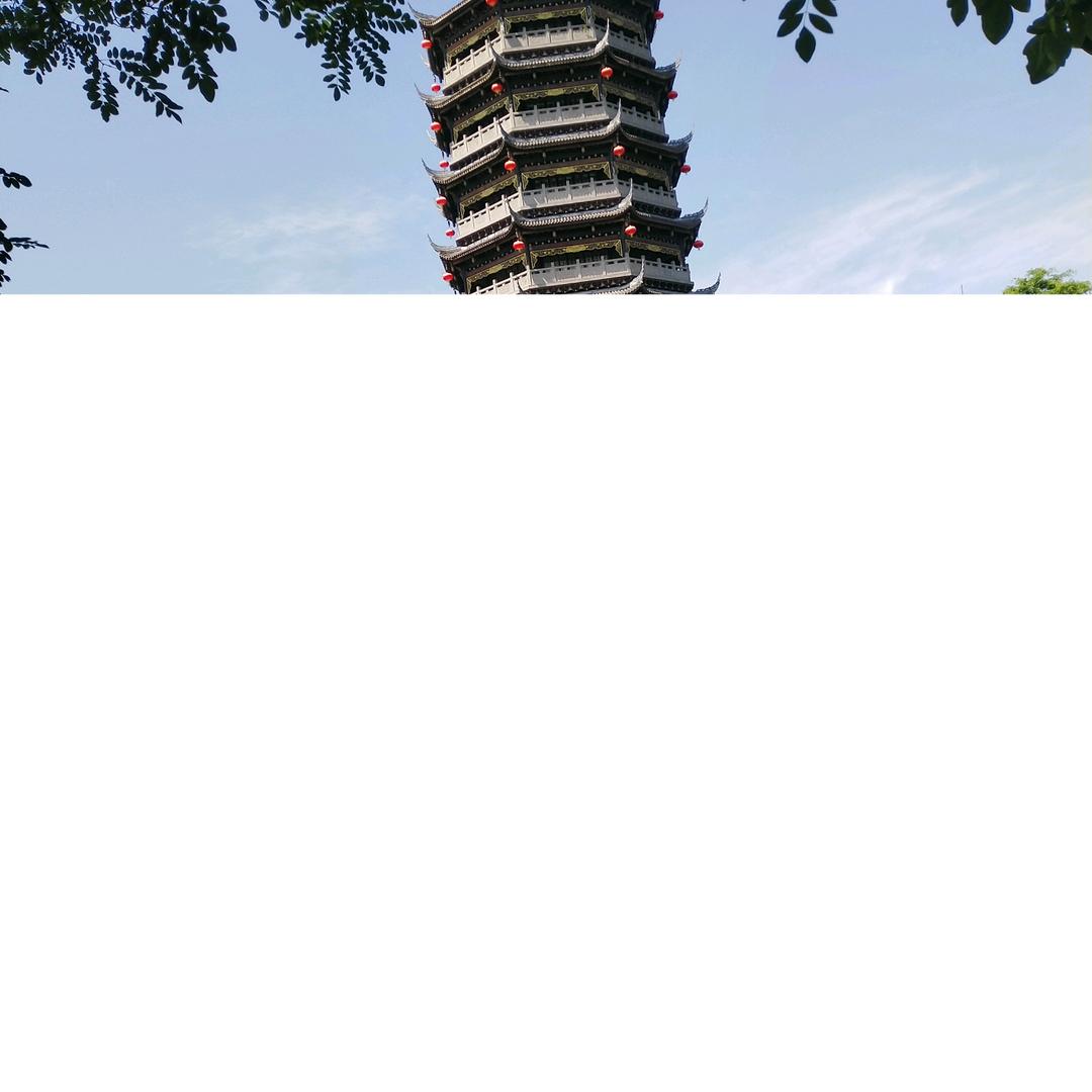树林