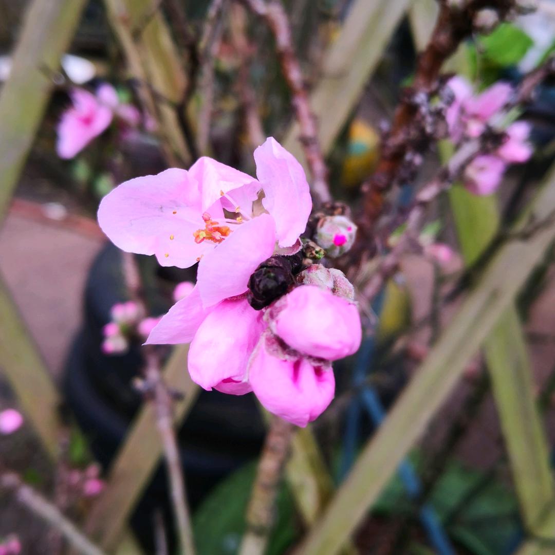 今天也很nice呀！