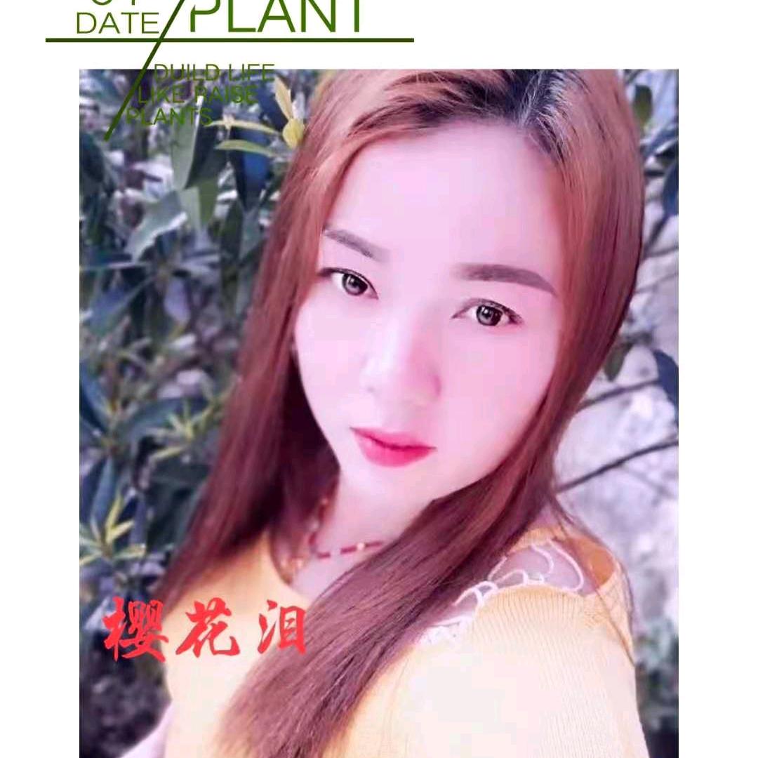 樱花🌸山歌（余)