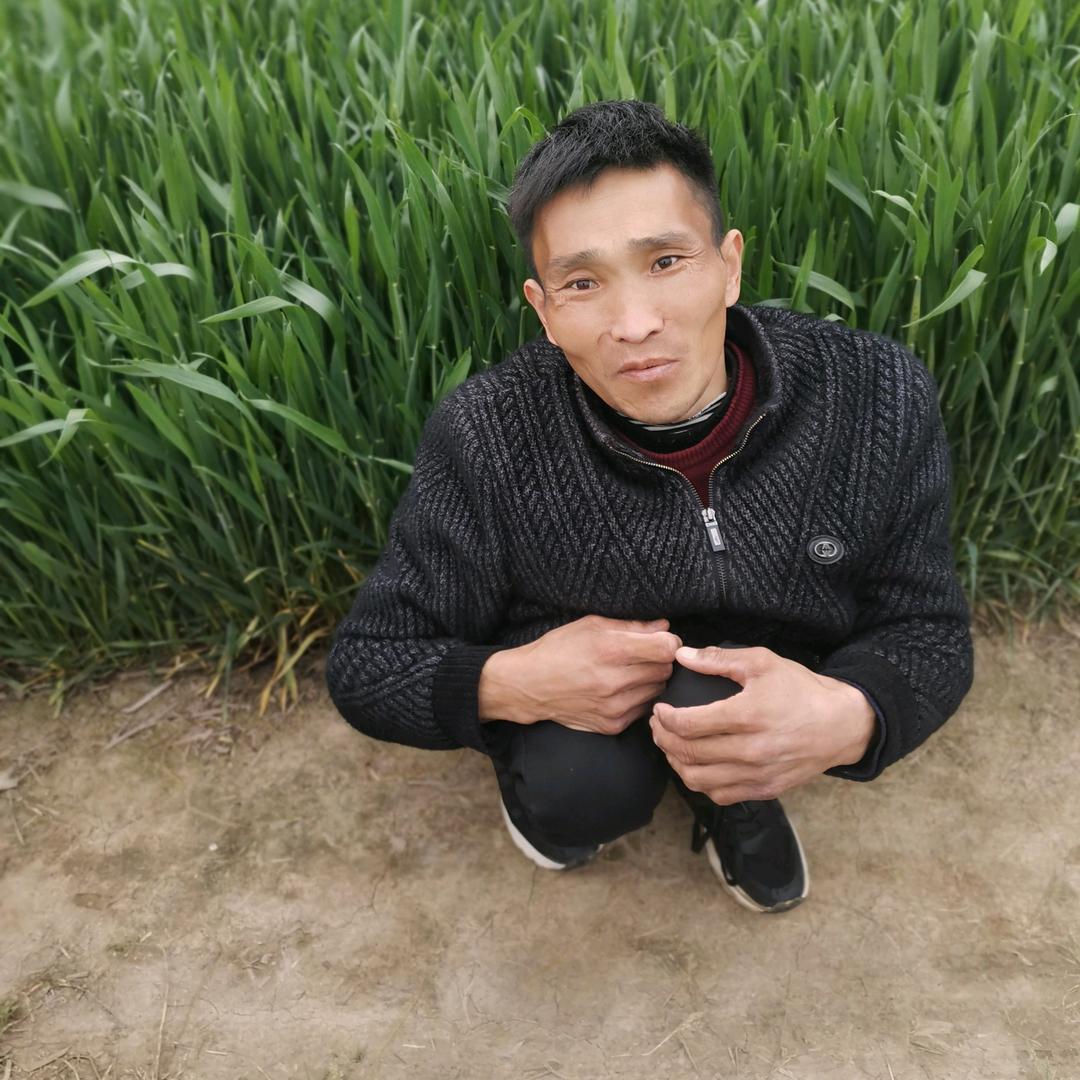上蔡老男孩