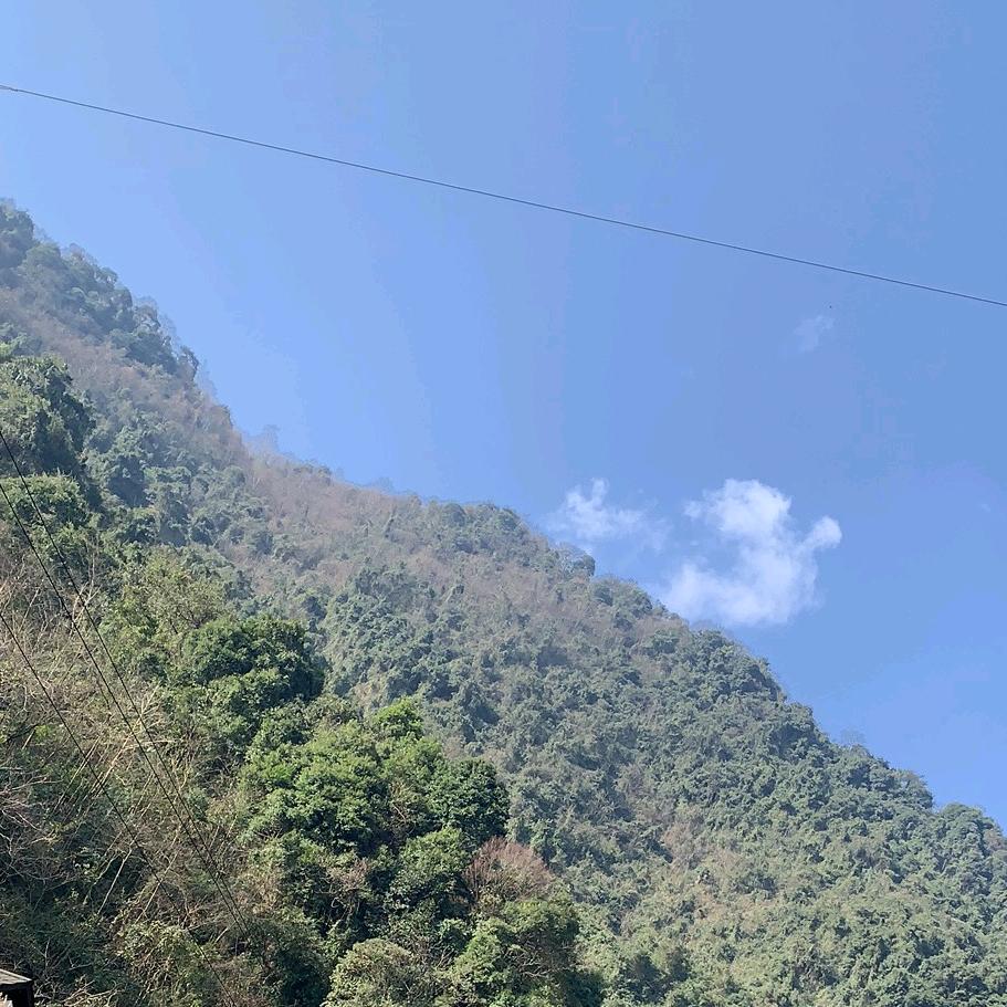 澜境-幻鱼-鱼缸厂