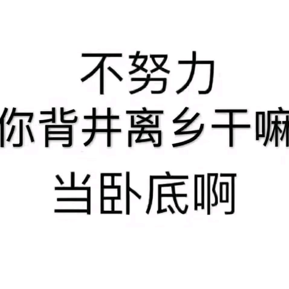 大风起兮  云飞扬