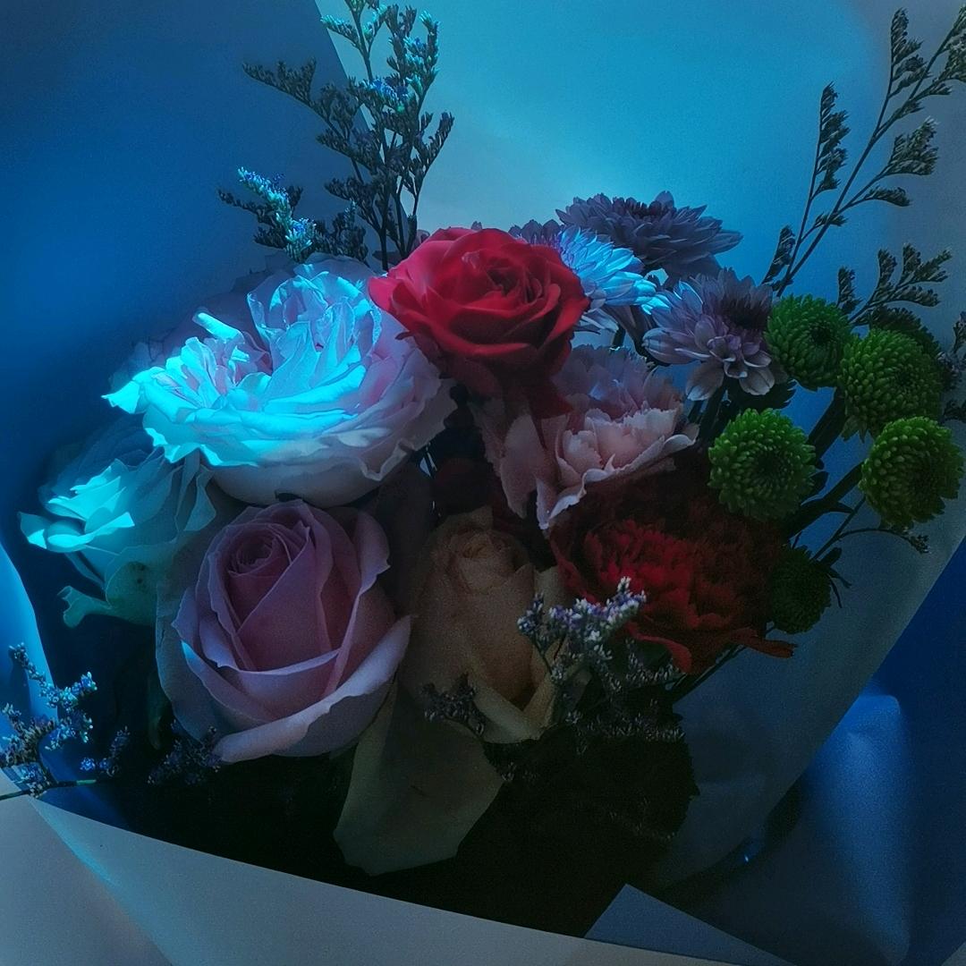 一蓑烟雨任平笙