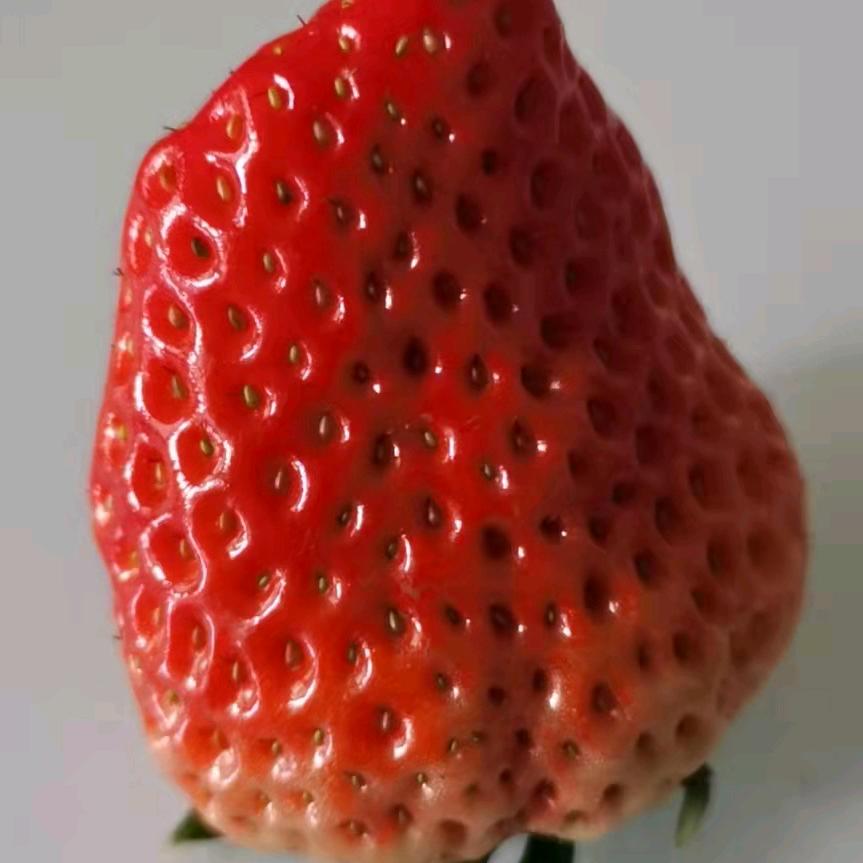 永无止境