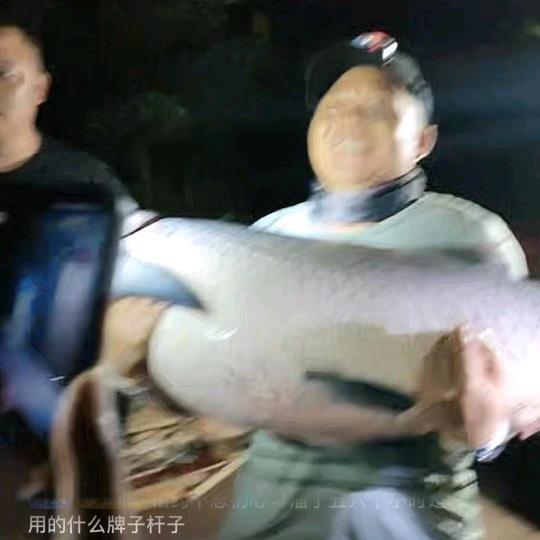 新梅（爱钓鱼🐠）