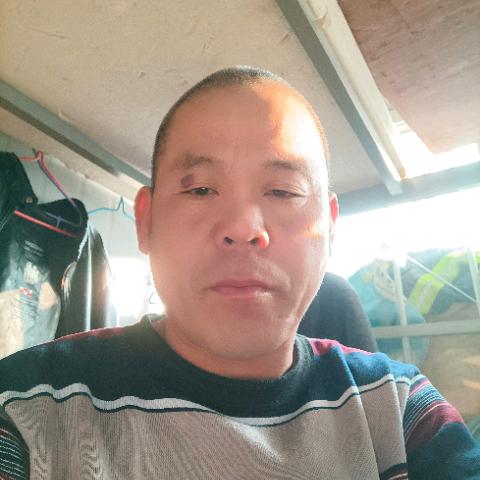 红尘有你