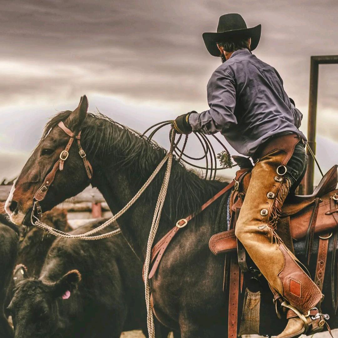 长春迷幻调酒师