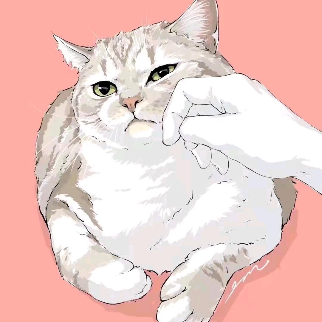 念念❤