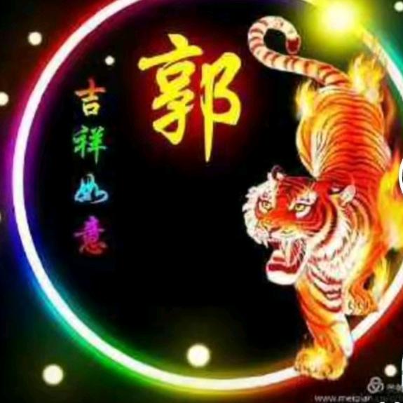 老郭专业防护金钢网窗纱