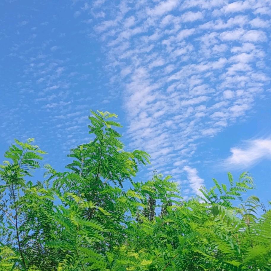 天马行空