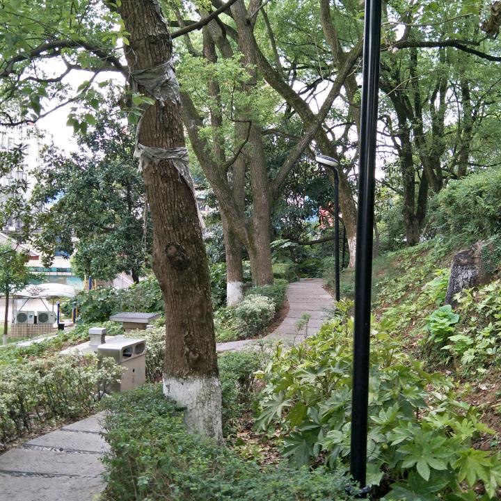 星际光