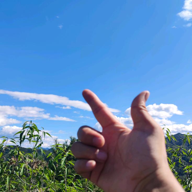 荣荣🈶好物