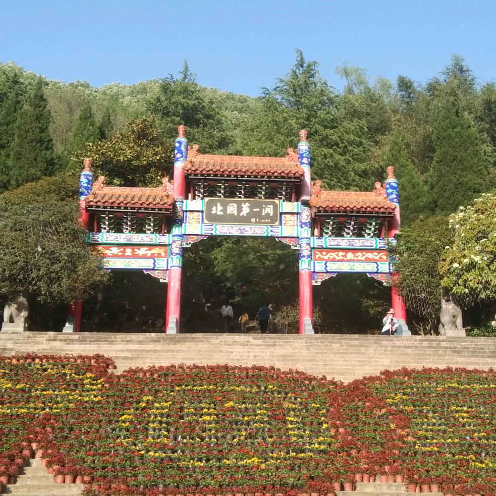 拼搏
