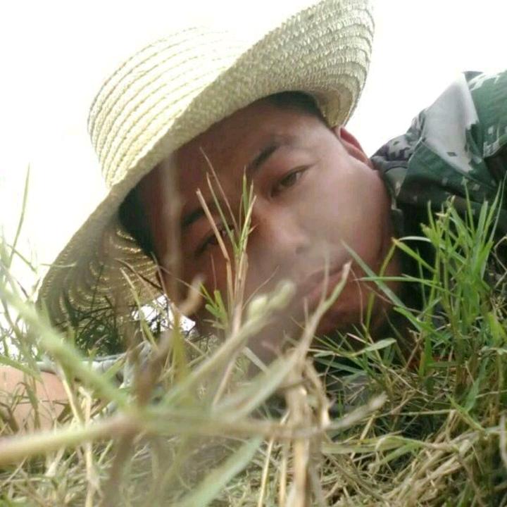 孤单的熊（向）