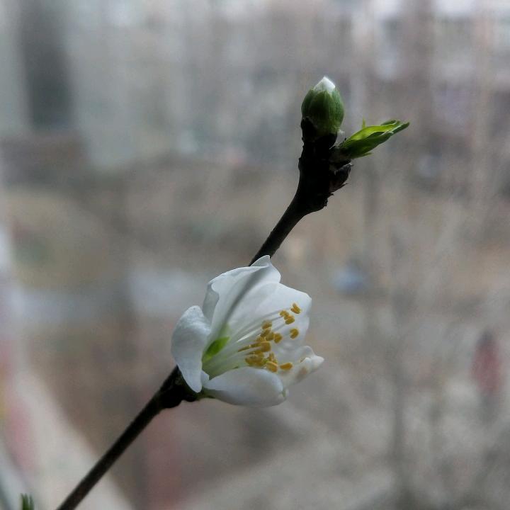 长春市上工广告发光字工厂