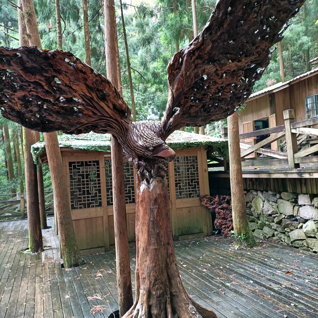 潇洒走一回