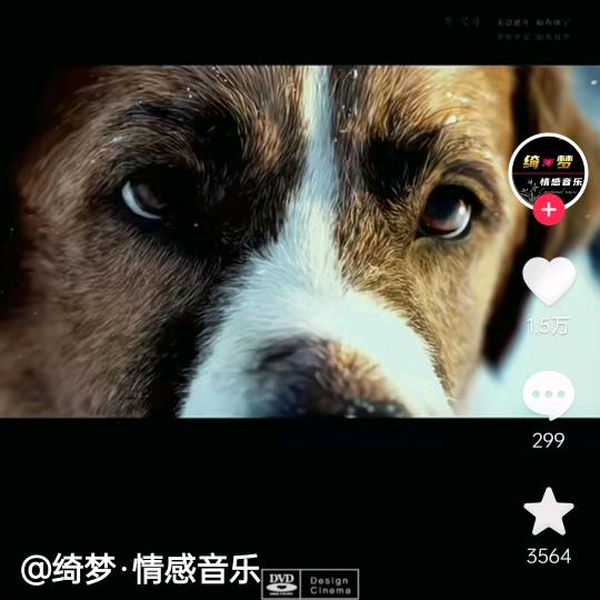 奔跑者