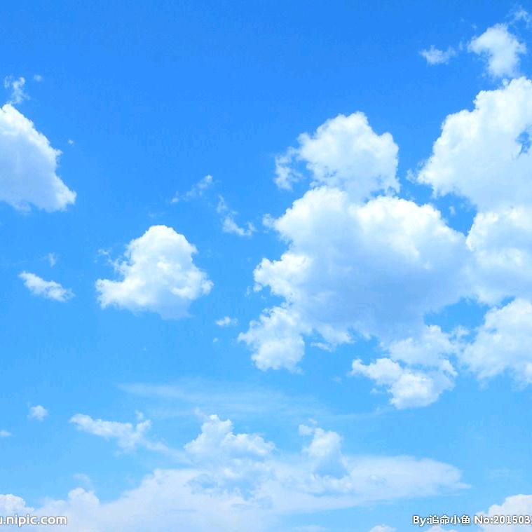 用户867